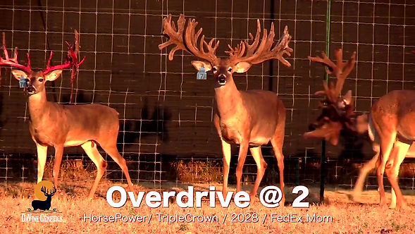 Overdrive at 2